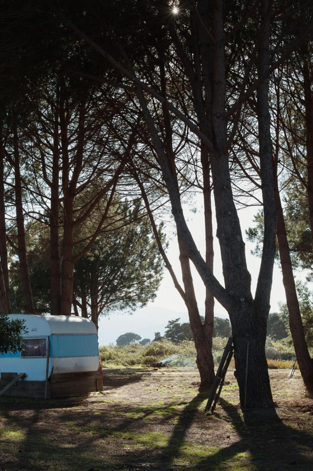 Caravane Janis On The Beach Lucciana  Exterior photo